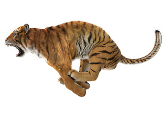 Image showing Hunting Tiger