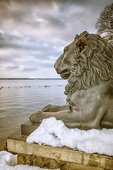 Image showing Lions Tutzing