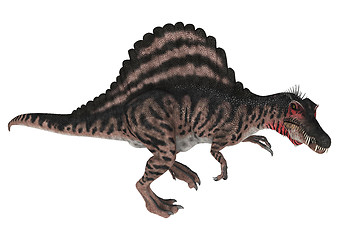 Image showing Dinosaur Spinosaurus