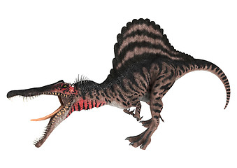 Image showing Dinosaur Spinosaurus