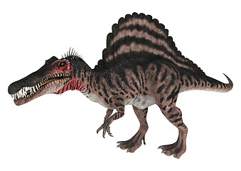 Image showing Dinosaur Spinosaurus