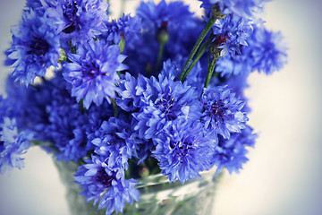 Image showing Blue cornflowers