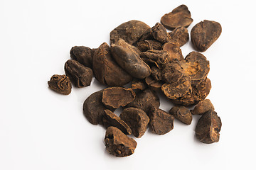 Image showing Cola nuts