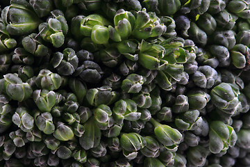 Image showing green broccoli vegetable texture