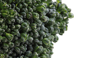 Image showing green broccoli vegetable texture