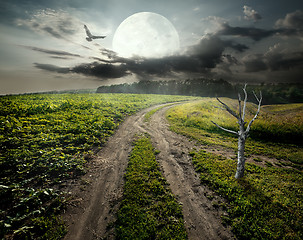 Image showing Dry tree and moon