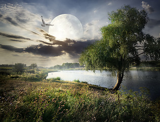 Image showing Willow and moon