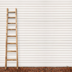 Image showing wooden plank wall, ground covered with leaves