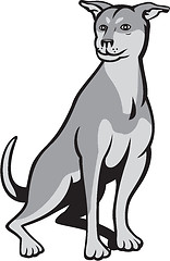 Image showing Husky Shar Pei Cross Dog Sitting Cartoon