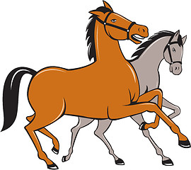 Image showing Two Horses Prancing Side Cartoon