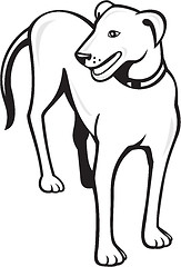 Image showing Dog Standing Front Cartoon