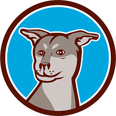 Image showing Husky Shar Pei Cross Dog Head Cartoon