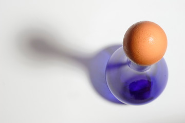 Image showing Brown egg bottle cap