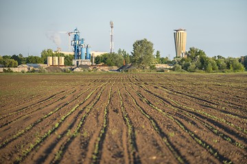 Image showing Cultivated land closeup