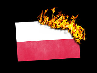 Image showing Flag burning - Poland