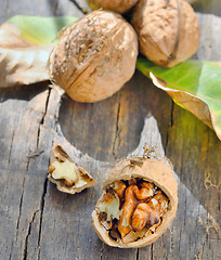 Image showing walnuts isolated 