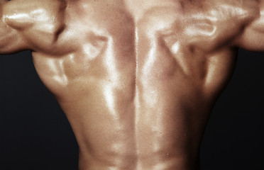 Image showing Body of muscular man