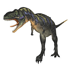 Image showing Dinosaur Aucasaurus