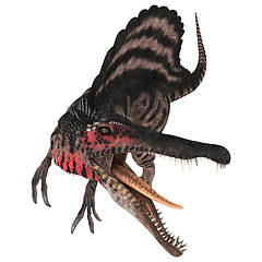 Image showing Dinosaur Spinosaurus