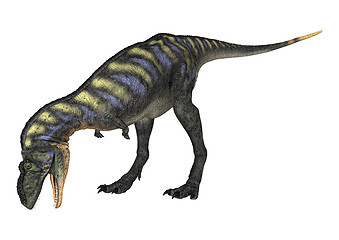 Image showing Dinosaur Aucasaurus