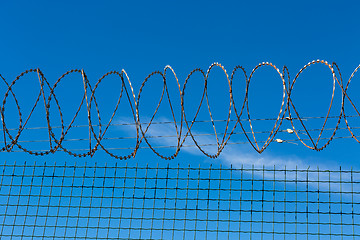 Image showing Wired Fence with Spiral Barbwire