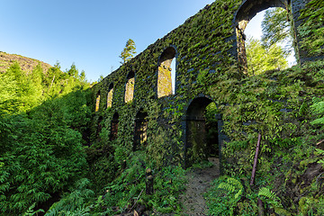 Image showing Stone Wall Old Aqueduct in the Forest