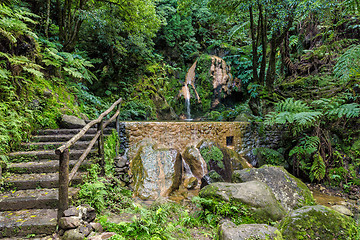 Image showing Hot-Spring Pool in Tropical Forest