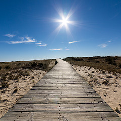 Image showing Wooden Walkway Leading to the Beach over Sand Dunes