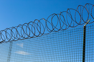 Image showing Wired Fence with Spiral Barbwire