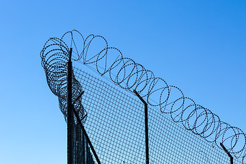 Image showing Wired Fence with Spiral Barbwire