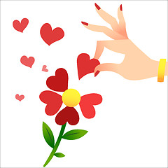 Image showing Guessing on the petals. A womans hand lifts the heart petals