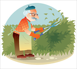 Image showing The old gardener working in the garden cutting the bushes