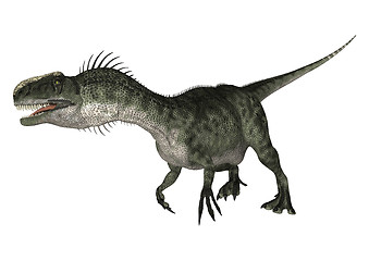 Image showing Dinosaur Monolophosaurus