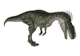 Image showing Dinosaur Monolophosaurus