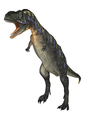 Image showing Dinosaur Aucasaurus