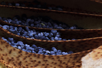 Image showing natural poppy seeds background