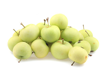 Image showing early sumer green apples