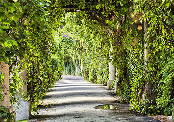 Image showing archway in the park at summer.