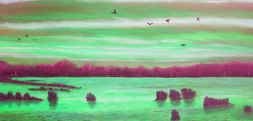 Image showing Sunset at the lake, birds in the sky