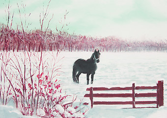 Image showing Frisian horse in a snowy meadow