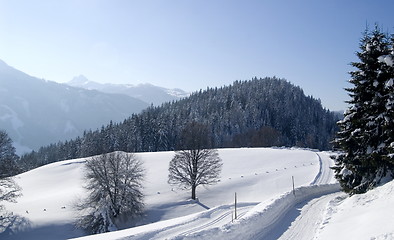 Image showing Ski track - Dachstein