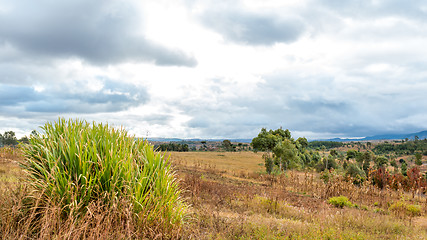 Image showing Dark clouds hovering over the fields