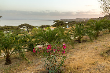 Image showing Shores of Langano Lake