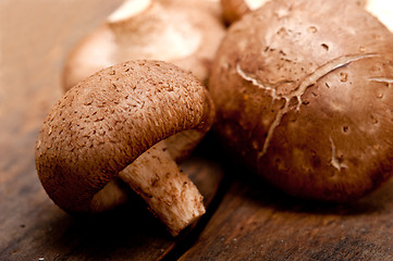 Image showing shiitake mushrooms