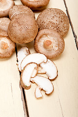 Image showing shiitake mushrooms