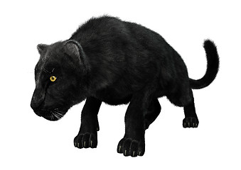 Image showing Black Panther