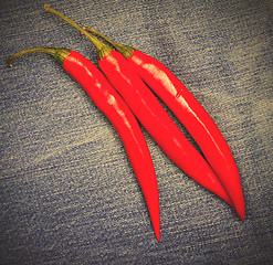 Image showing red chili pepper on jeans background