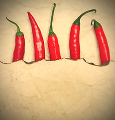 Image showing fiery red chili peppers