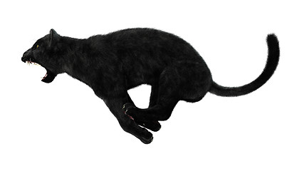 Image showing Hunting Black Panther