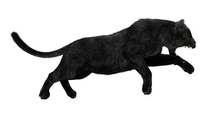 Image showing Black Panther